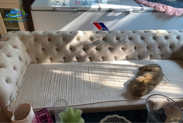 Hướng dẫn cách vệ sinh sofa tại nhà