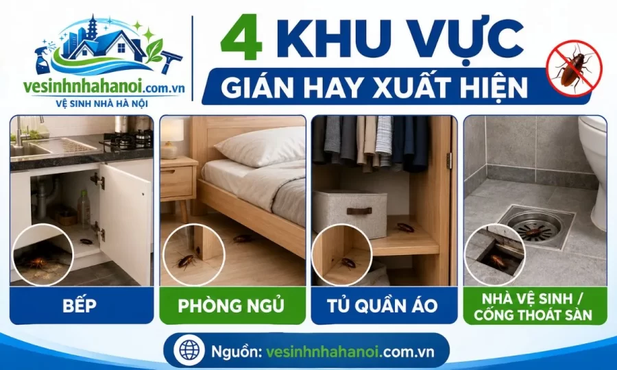 Cách diệt gián trong bếp phòng ngủ tủ quần áo và nhà vệ sinh