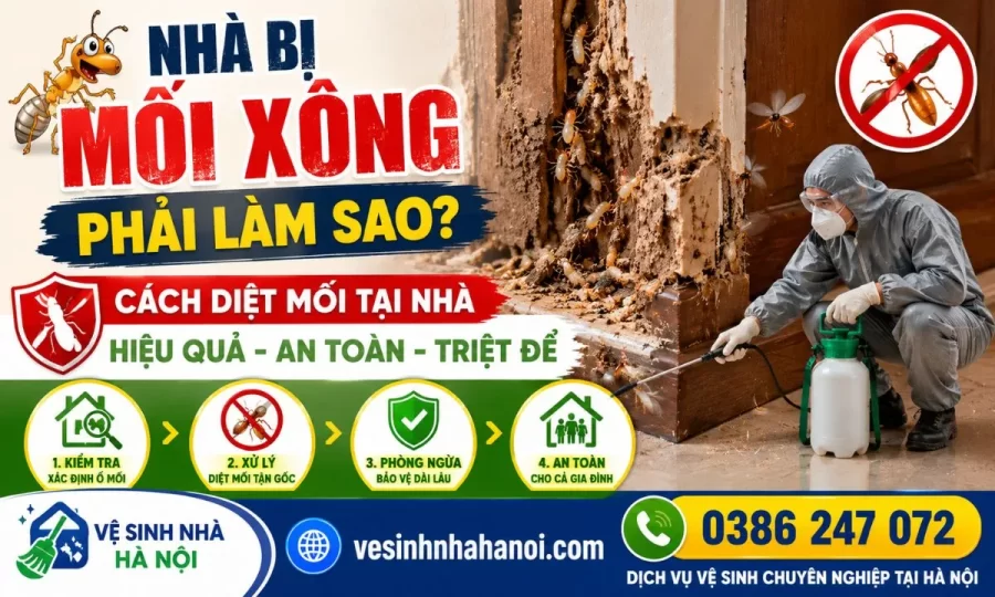 Cách diệt mối tại nhà
