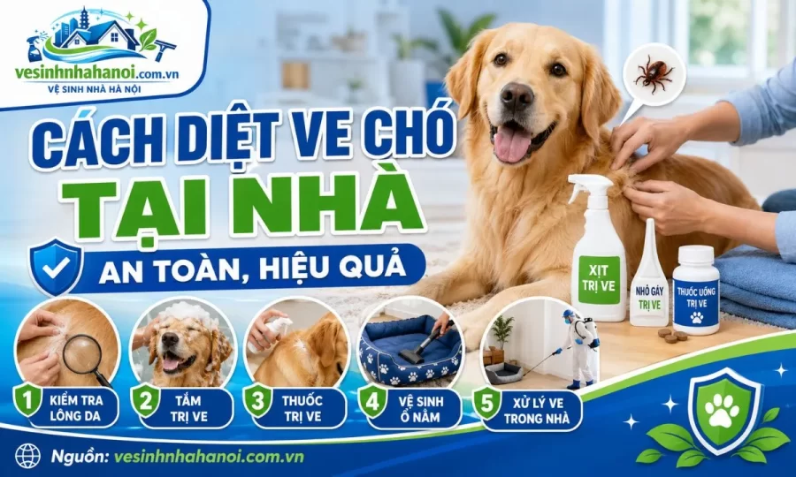 Cách diệt ve chó tại nhà an toàn