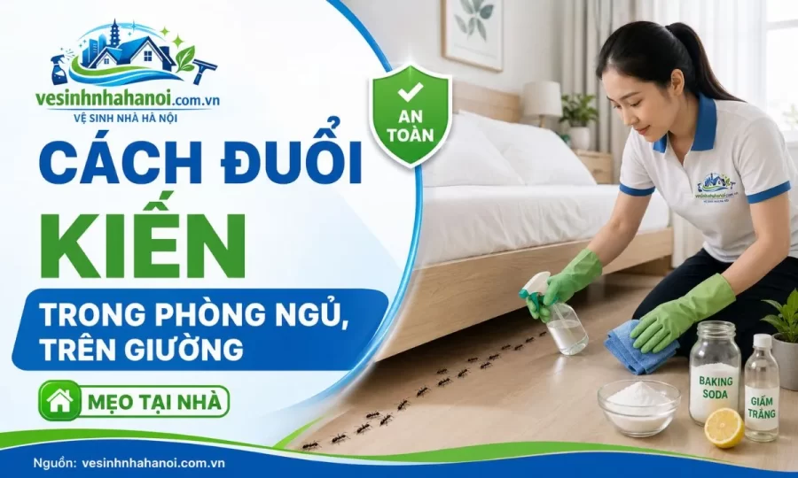 Cách đuổi kiến khỏi phòng ngủ