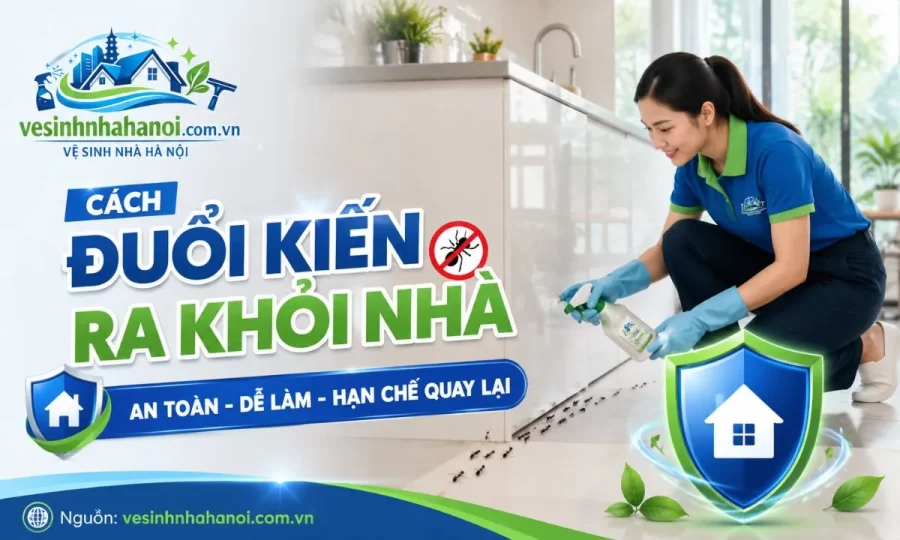 Cách đuổi kiến ra khỏi nhà