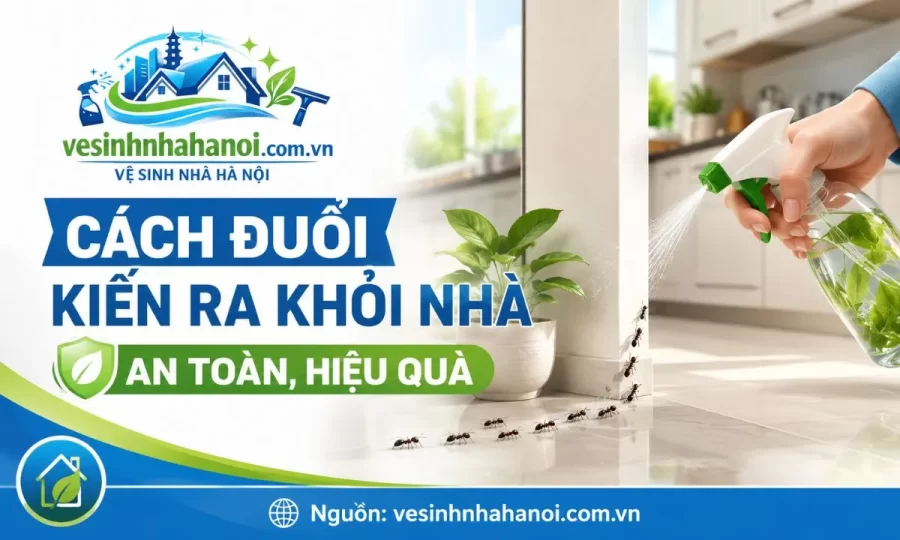 Cách đuổi kiến ra khỏi nhà hiệu quả
