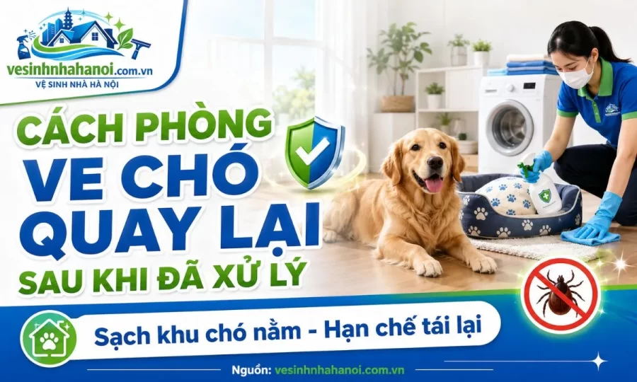 Cách phòng ve chó quay lại