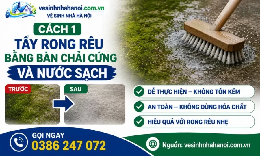 Cách tẩy rong rêu bằng bàn chải