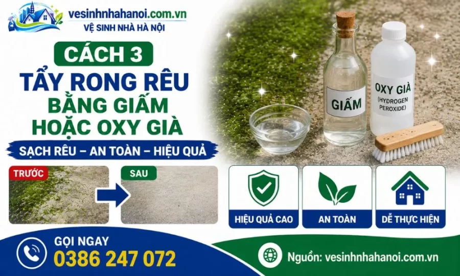 Cách tẩy rong rêu bằng giấm hoặc oxy già