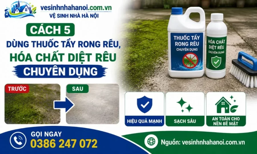 Cách tẩy rong rêu bằng thuốc tẩy