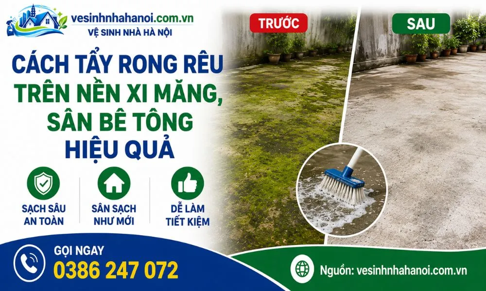 Cách tẩy rong rêu trên nền xi măng, bê tông