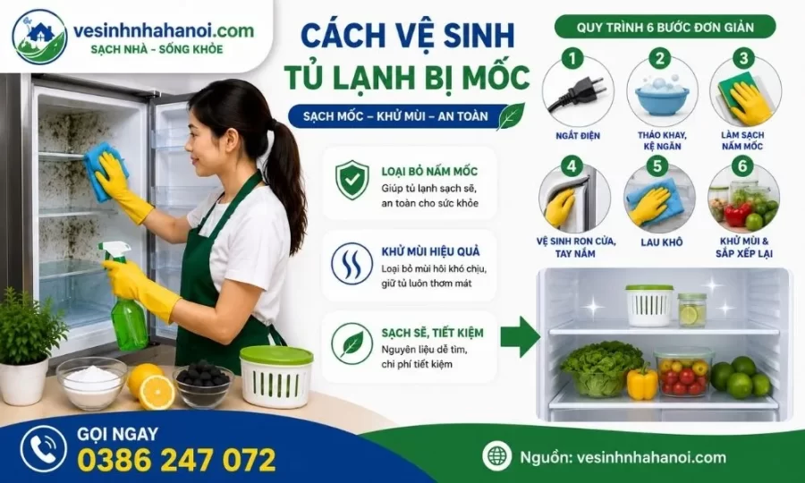 Cách vệ sinh tủ lạnh bị mốc