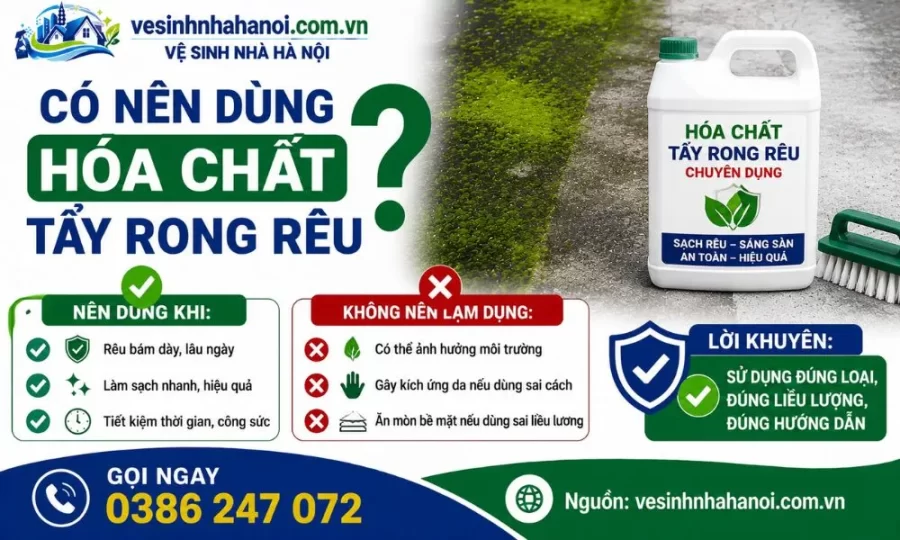 có nên sử dụng hóa chất để làm sạch rong rêu không
