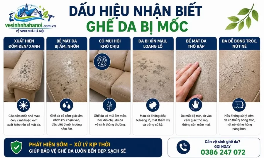 Dấu hiệu nhận biết ghế da bị mốc