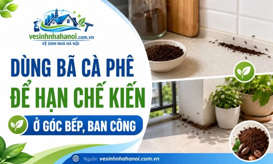 Dùng bã cà phê để đuổi kiến