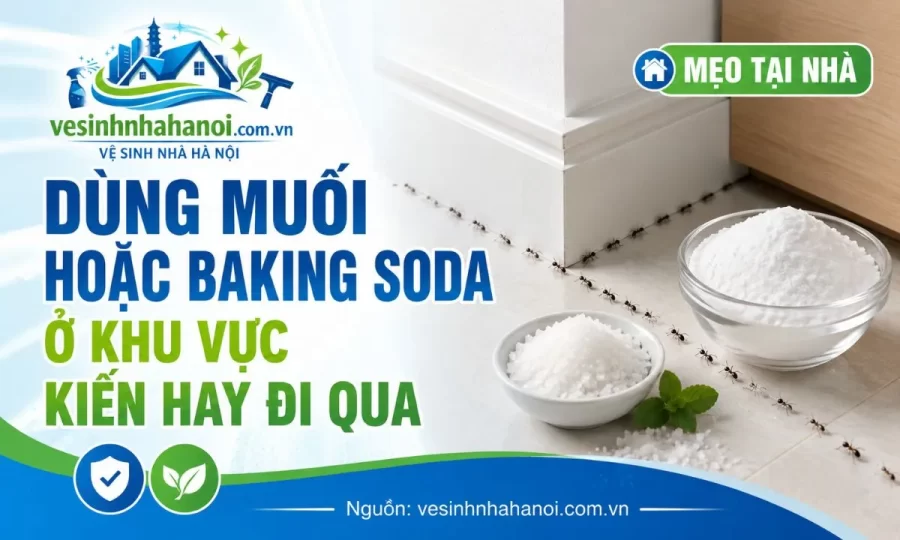 Dùng backing soda và muối để đuổi kiến