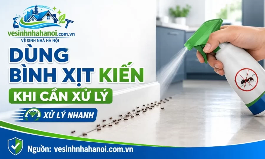 Dùng bình xịt kiến để đuổi kiến