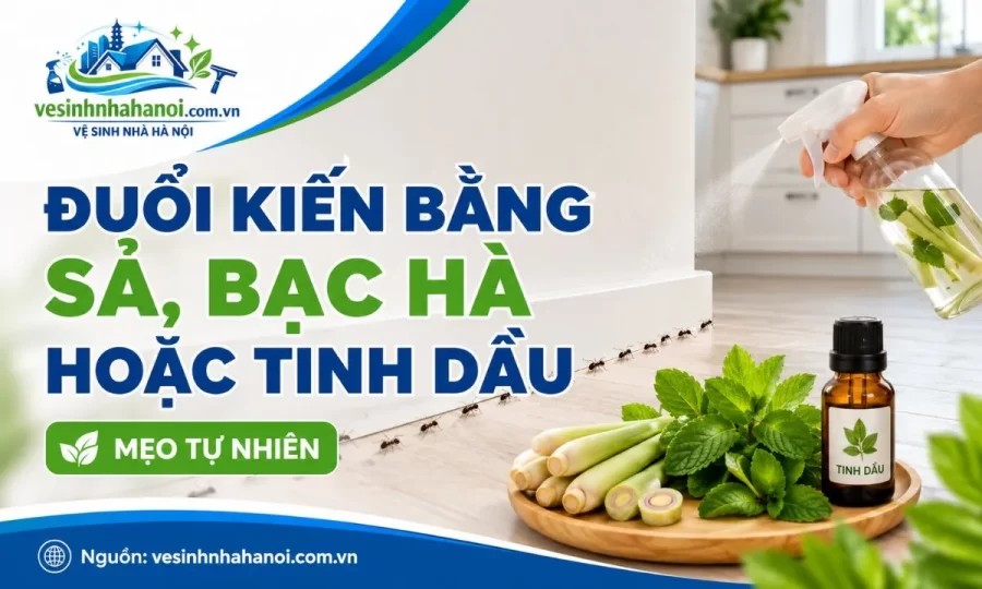 Đuổi kiến bằng bạc hà, sả và tinh dầu