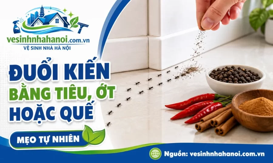 Đuổi kiến bằng tiêu, ớt hoặc quế