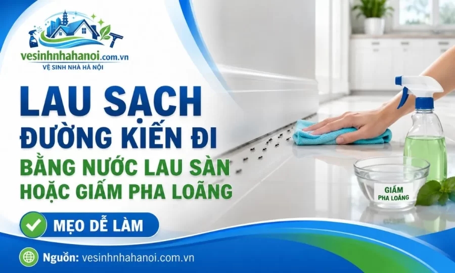 Lau sạch đường kiến bò để đuổi kiến