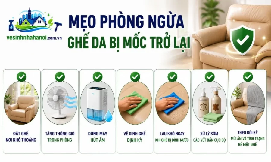 Mẹo phòng ngừa ghế da  bị mốc trở lại