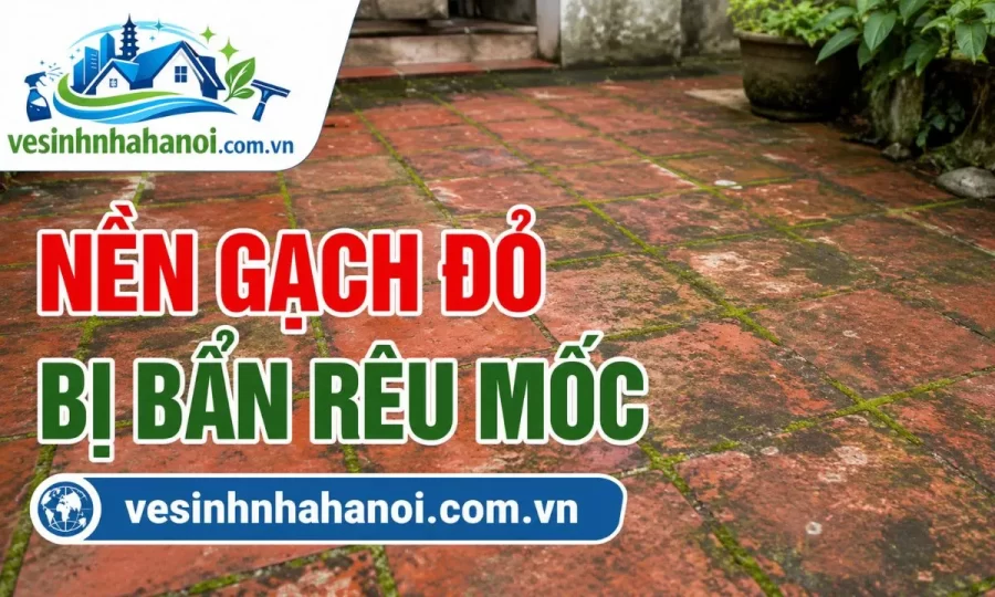 Nền gạch đỏ bị bẩn rêu mốc