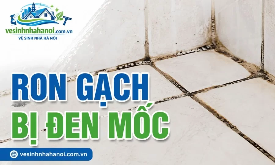 Ron gạch bị đen mốc