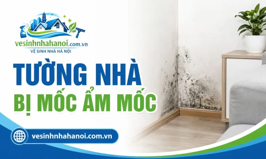 Tường nhà bị mốc ẩm mốc