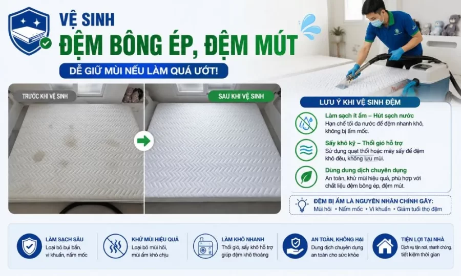 Vệ sinh đệm bông ép