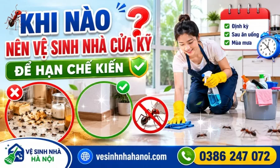 vệ sinh nhà cửa để đuổi kiến