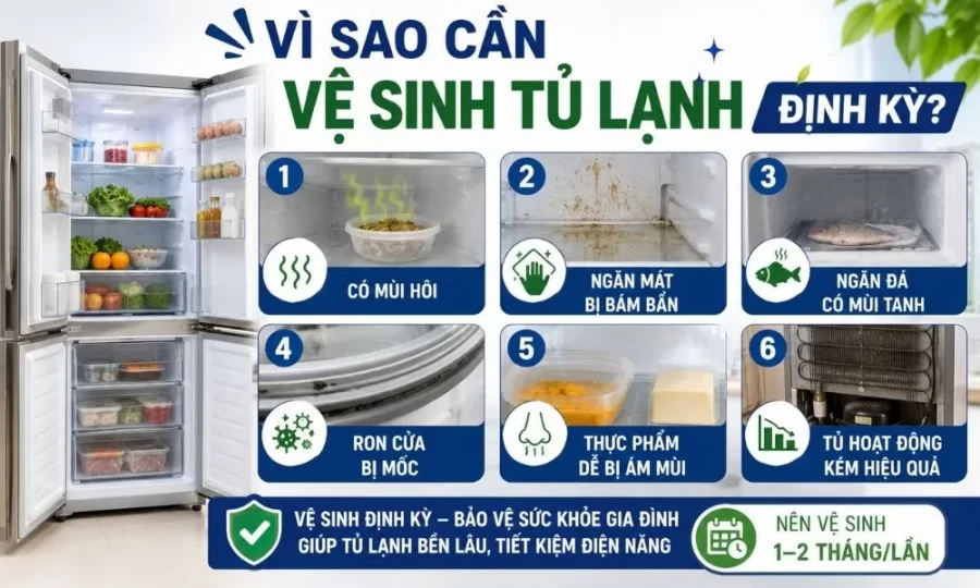 Vì sao cần vệ sinh tủ lạnh