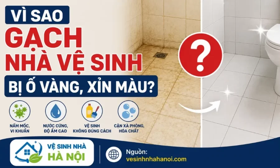 Vì sao gạch nhà vệ sinh bị ố vàng, xỉn màu?