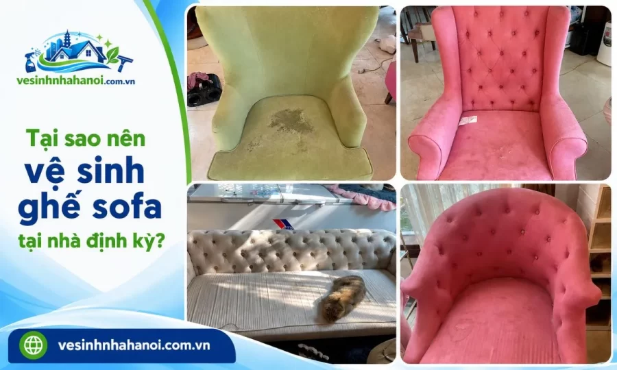 Vì sao nên vệ sinh ghế sofa tại nhà định kỳ
